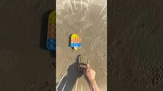 Pop it run at the beach 🏝️🏄‍♂️ IVy family #shorts #toys #viral