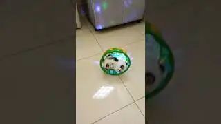 Video mainan anak rotary panda