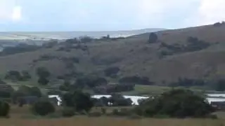 Cradle of Humankind, South Africa