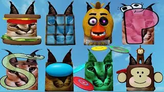 FIND the FLOPPA MORPHS *How to get ALL 36 NEW Floppa Morphs* PART 25! Roblox