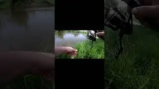 "Жук-Перекатный" любимчик голавлей, снова с уловом. #рыбалка #fishing