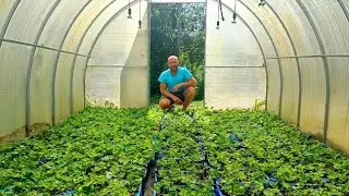 Summer is ending - let's tie up our tails