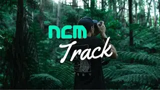 Rays of gold – ROFEU [No Copyright Music]