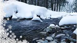 Февральский снег