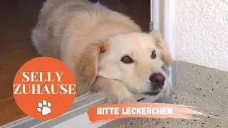 Selly wartet geduldig!!