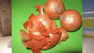 Шестой эксперимент. Рассмотрел кожицу винограда и шелуху лука