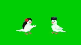 Tuni chidiya green screen video no copyright 81 bird cartoon green screen bird green screen cartoon