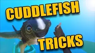 SUBNAUTICA - CuddleFish All Animations And Tricks - CUTE PET Update