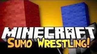 PC Minecraft MiniGames Series Episode 7 - Sumo ~ Kinky Cheaters
