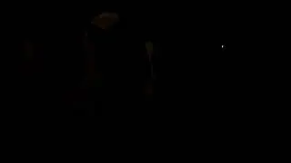 Ночной воришка
