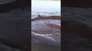 wildlife
