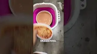 The teacher couldn't believe her eyes when he hid the 