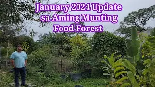 Young Food Forest tour January 2024