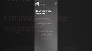 Americano Sped Up - Lady Gaga