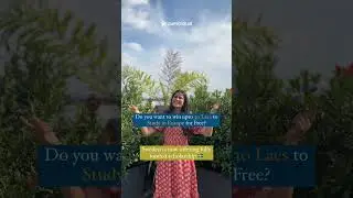 KTH University Scholarship 🇸🇪 | Sweden Scholarships for International Students | Study in Sweden