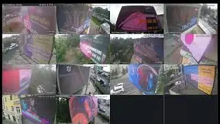 amedia отчеты
