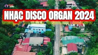 Nhạc sống disco organ 2024. Discover the Hidden Secrets of Disco Organ Music in 2024