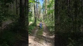 11 июня 2024 пикник у воды и прогулка по лесу, я вас люблю Коломейцы и Юлька #BAсемья