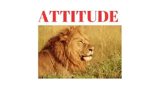 ATTITUDE MAKE THE DIFFERENCE