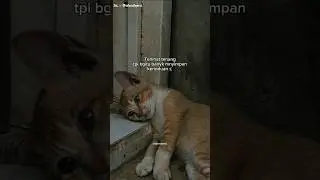 Hilang semua janji 🥲