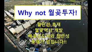 월곶 !! 월판선 호재가 있는데 아직도 싸네요. 투자 가치에 대해서 같이 한번 살펴보아요.