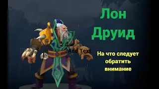 Лон Друид. На что следует обратить внимание.