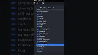 How to get kali linux recommended wallpapers back ?? || Kali linux default wallpapers || 
