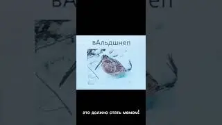 знаю что в этом видео нету смысла,но это должно стать мемом перезаливайте на свои каналы 