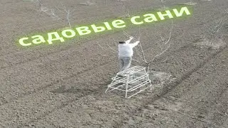 Ореховый сад после зимы. Сани для обрезки.
