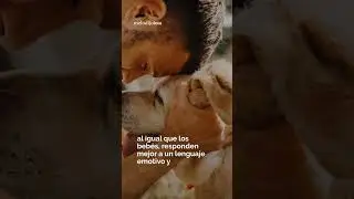 El efecto del habla infantil en el cerebro de los perros 🗣️🐕 #Perros #ComunicaciónCanina #Vínculo