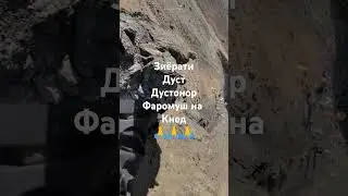 Дустон