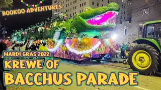 Our Night at the Bacchus Parade 2022
