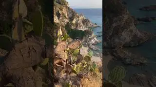 Почему итальянцы уезжают за границу на море? 