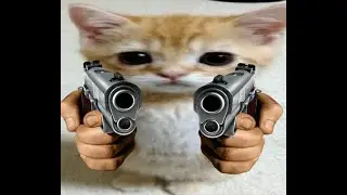 You better not mess with my gang🥶🗣🔥🔥‼️‼️-#memes #catmemes #cat