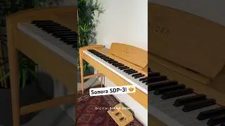 Quick overview of the Sonora SDP-3 digital piano! 🤩 #piano #digitalpiano #overview #sonora