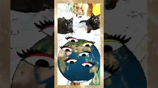 Две кошки - две сестры внеорбитные 😻😻