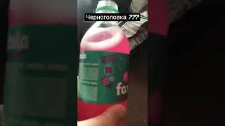 Гиниально