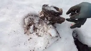 КОП ВДОЛЬ ДОРОГИ И ПОЛЯ. 