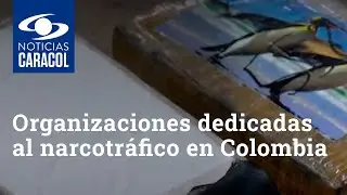 Así están estructuradas las actuales organizaciones dedicadas al narcotráfico en Colombia