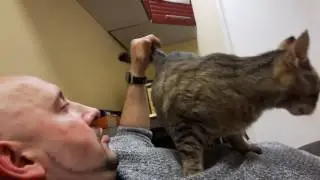 Спасённая кошка Катя - 