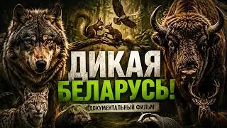 Дикая Беларусь. Последний первобытный лес Европы | Документальный фильм!