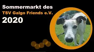 Sommermarkt der Galgo Friends 2020