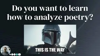 The Basics of Poetry