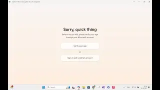 Fix Copilot Verify your age problem in Windows 11