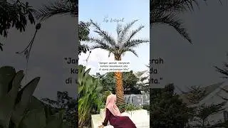 Jangan Pernah Menyerah #quotes #motivasi #katakatabijak #shortvideo #shorts #short #quote #sukses