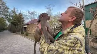 Решение принято. Люсю отправят в гарем к Елисею (Пародия на к/ф 