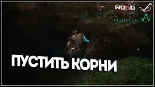 Задание 