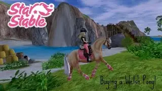 [SSO] - Buying a Welsh Pony!
