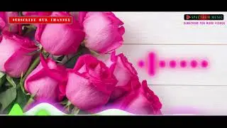 Meherezylaa | Maanaadu | Silambarasan TR | Yuvan Shankar Raja | Spectrum Music