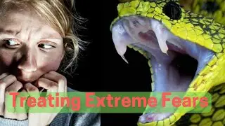Treating Extreme Phobias: A Case of Snakes